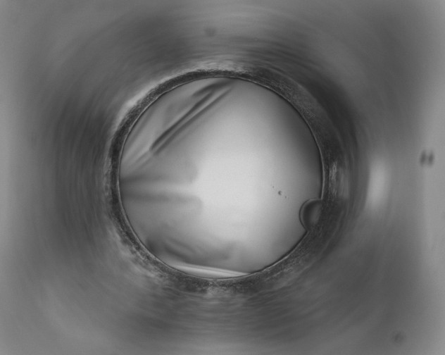 X0000111180388200907151329