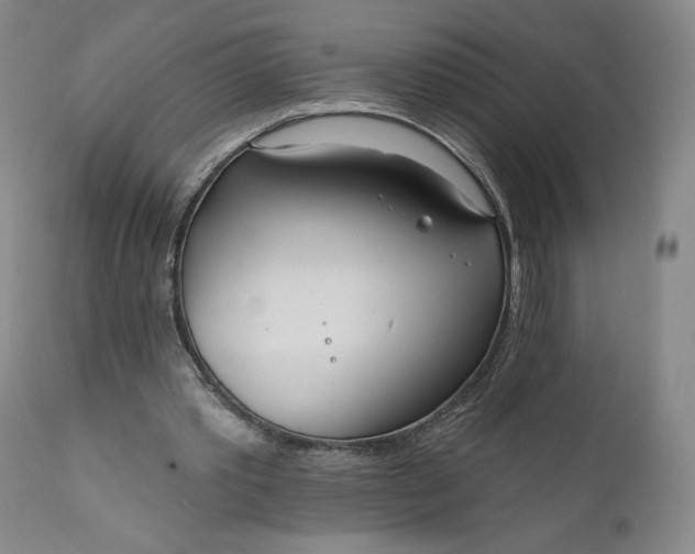 X0000111180389200907151329