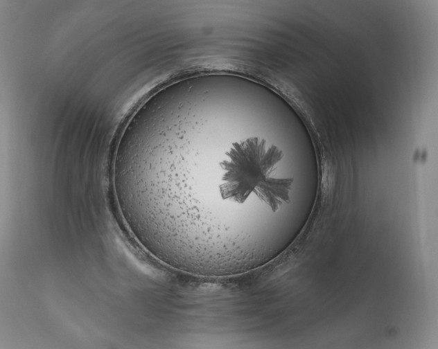 X0000111180390200907151329