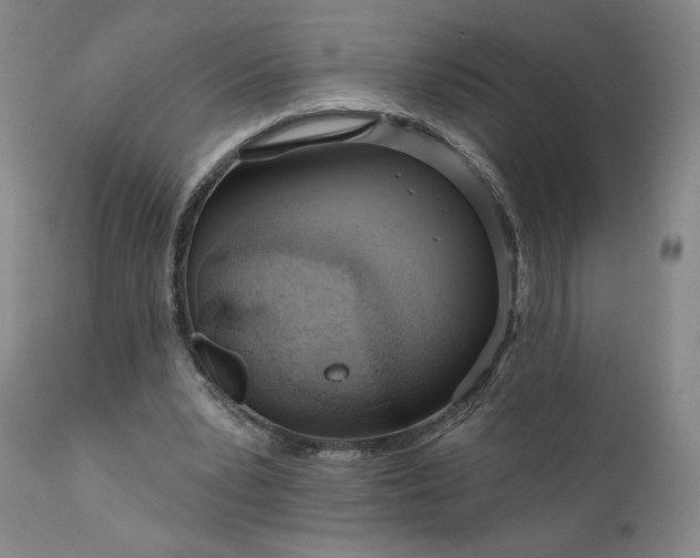 X0000111180391200907151329