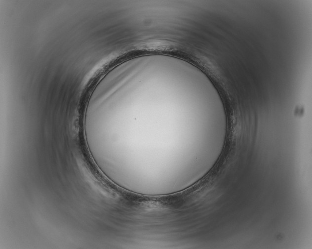 X0000111180392200907151329