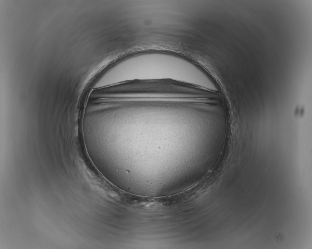 X0000111180395200907151329