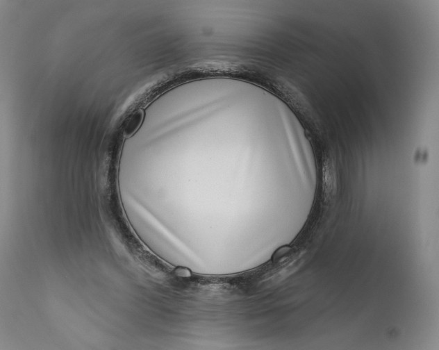 X0000111180396200907151329