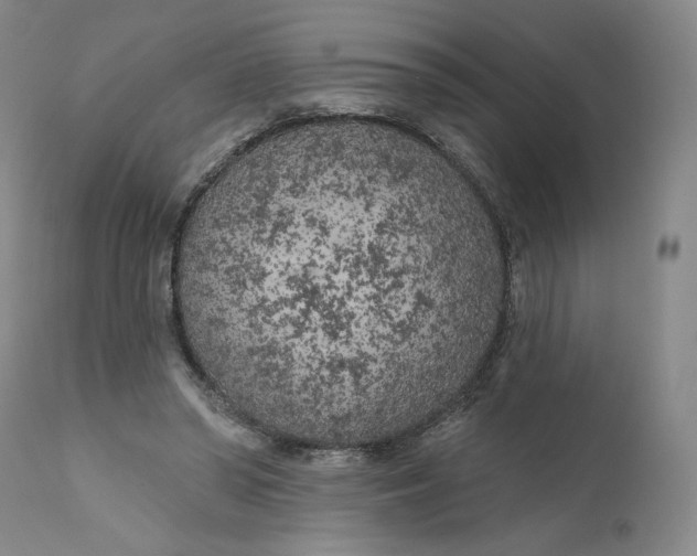 X0000111180398200907151329