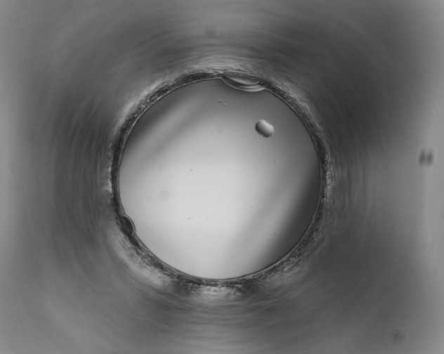 X0000111180399200907151329