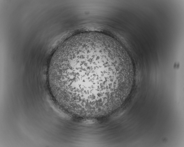 X0000111180402200907151329