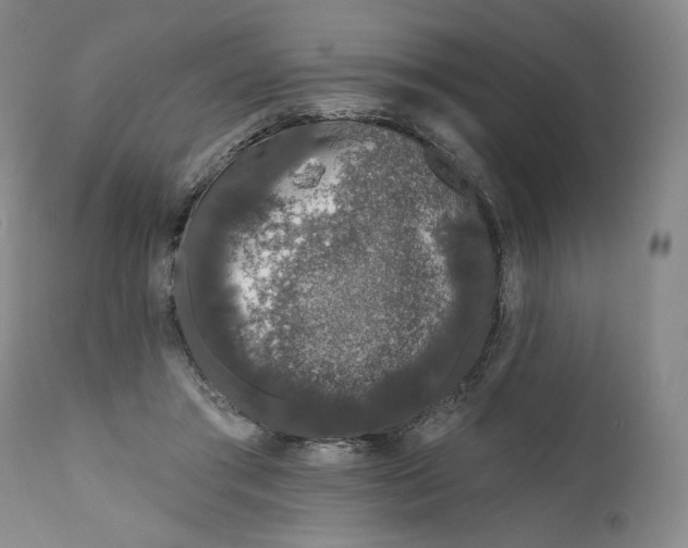 X0000111180405200907151329