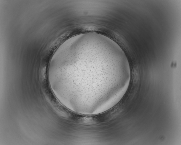 X0000111180406200907151329