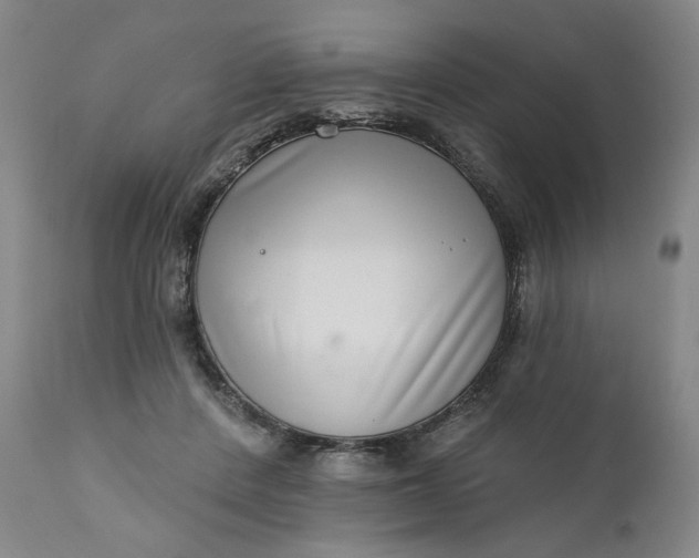 X0000111180408200907151329