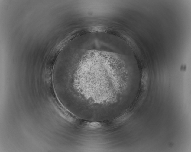 X0000111180409200907151329