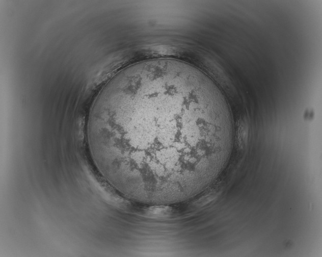 X0000111180410200907151329