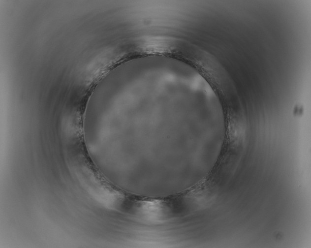 X0000111180411200907151329