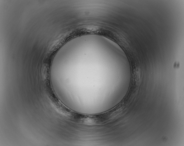 X0000111180412200907151329