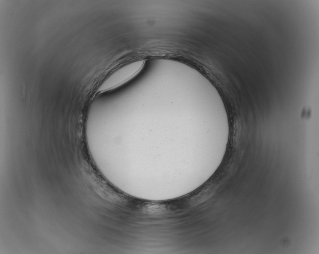 X0000111180413200907151329