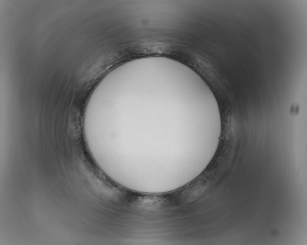 X0000111180414200907151329