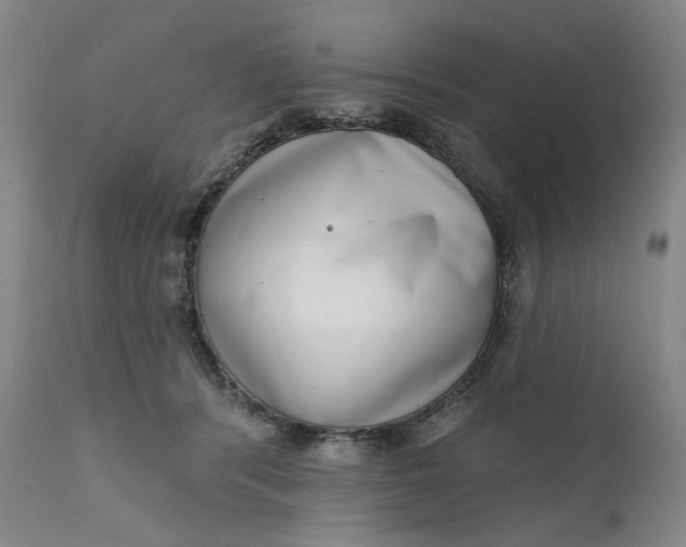 X0000111180416200907151329