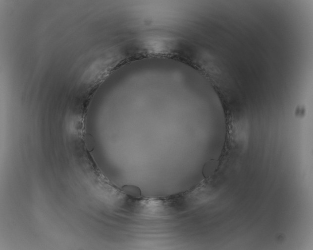 X0000111180419200907151329