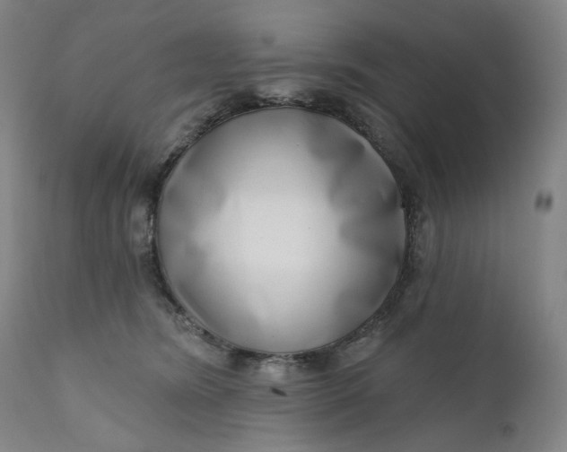 X0000111180420200907151329