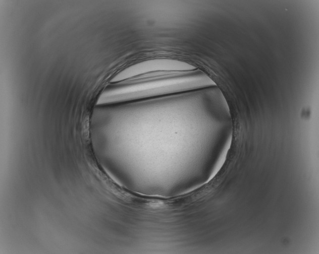 X0000111180425200907151329