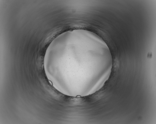 X0000111180428200907151329