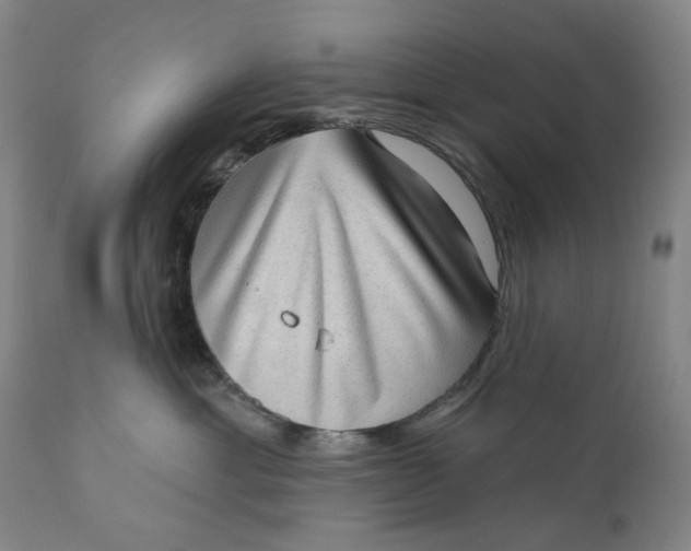 X0000111180429200907151329