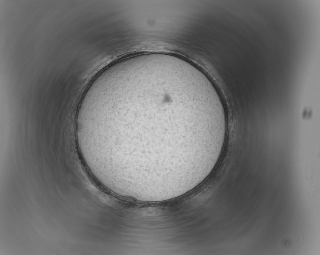 X0000111180433200907151328