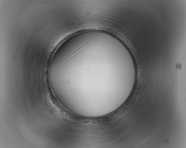 X0000111180434200907151328