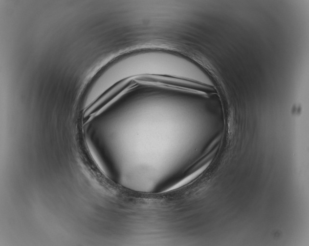 X0000111180436200907151328