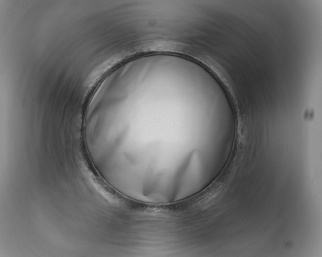 X0000111180437200907151328