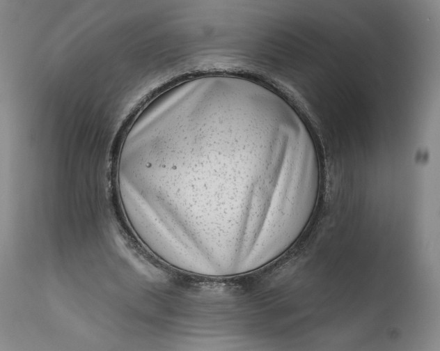 X0000111180439200907151328