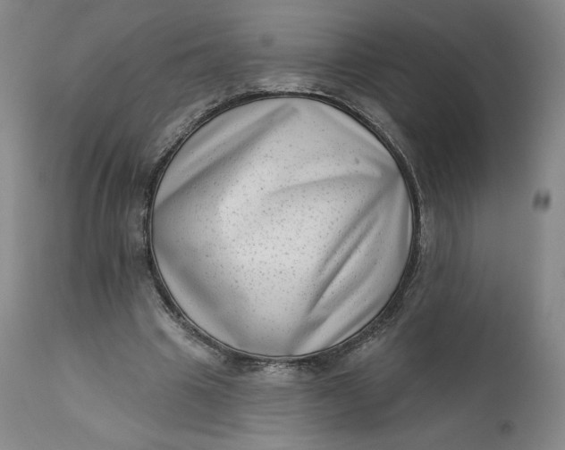 X0000111180441200907151328