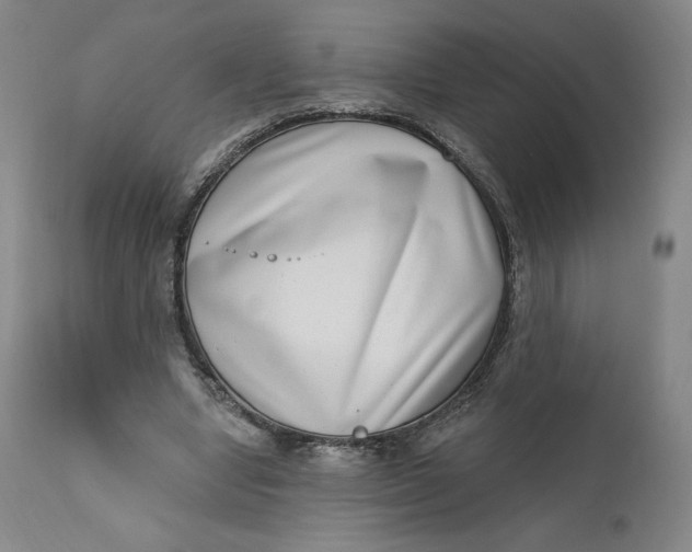 X0000111180442200907151328