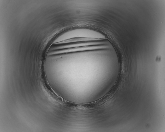 X0000111180444200907151328