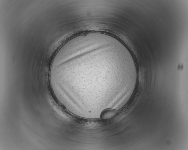 X0000111180445200907151328