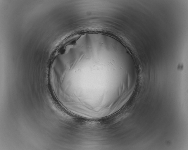 X0000111180446200907151328