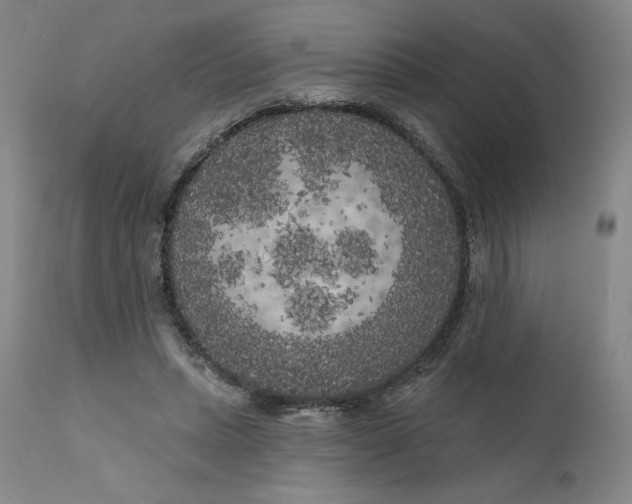 X0000111180447200907151328