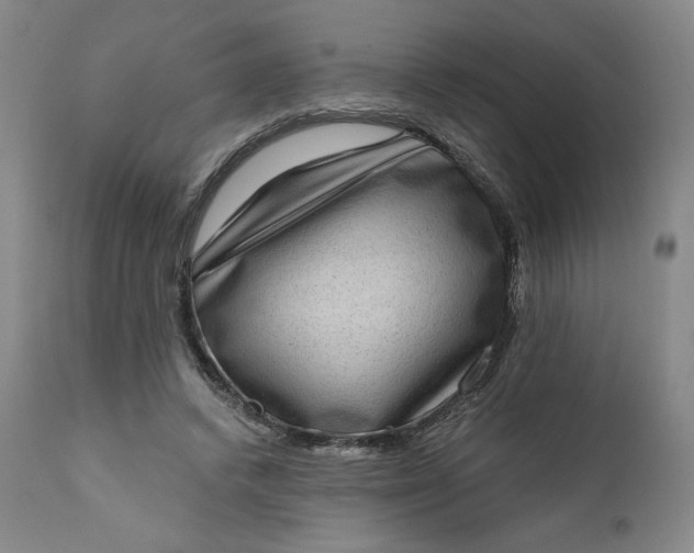 X0000111180448200907151328