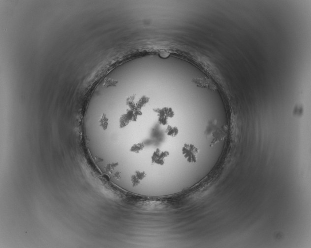 X0000111180449200907151328