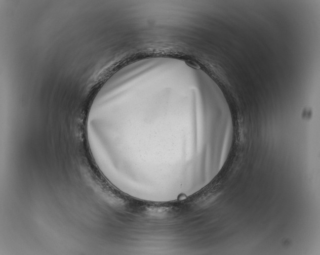 X0000111180450200907151328