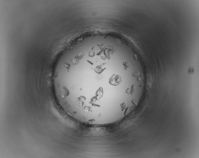 X0000111180451200907151328