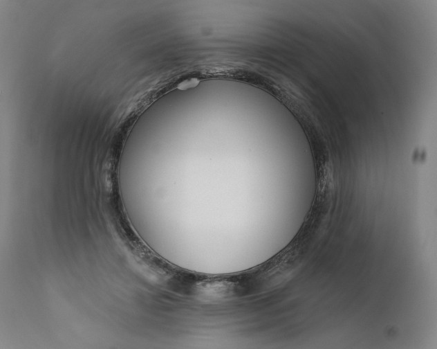 X0000111180452200907151328