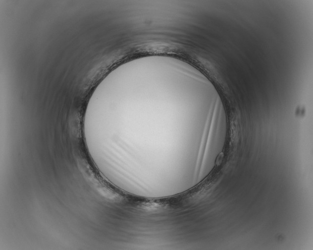 X0000111180453200907151328