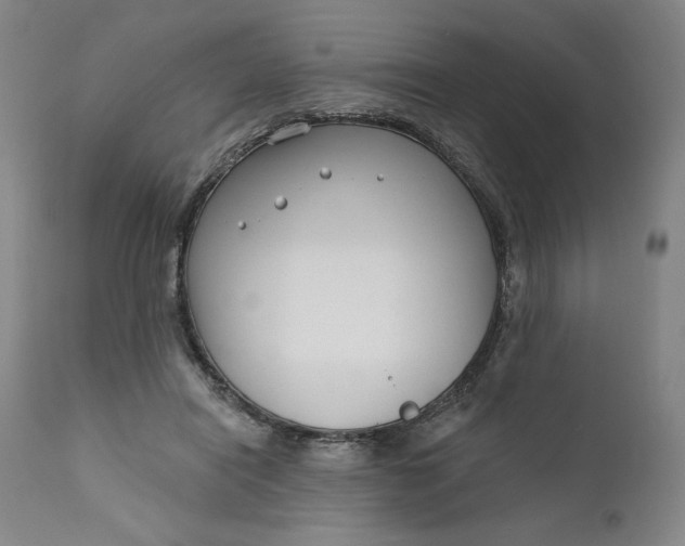 X0000111180454200907151329