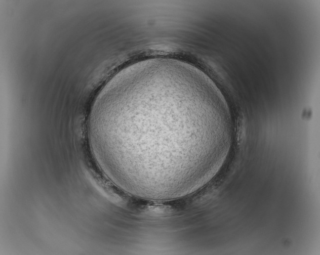 X0000111180455200907151329