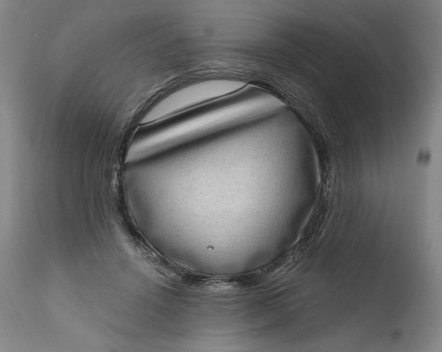 X0000111180456200907151329