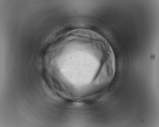 X0000111180457200907151329