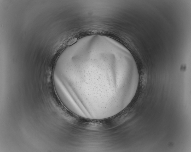 X0000111180458200907151329