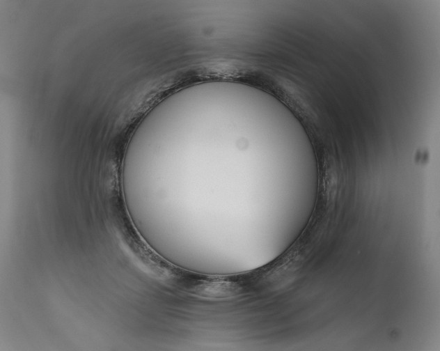 X0000111180459200907151329