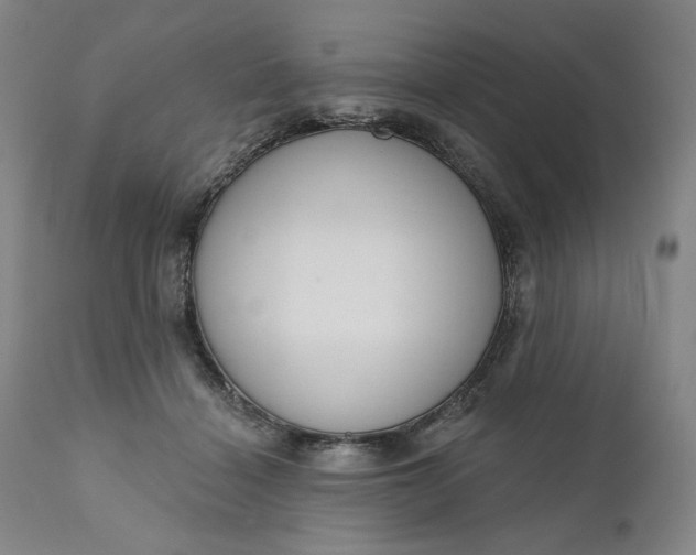 X0000111180460200907151329