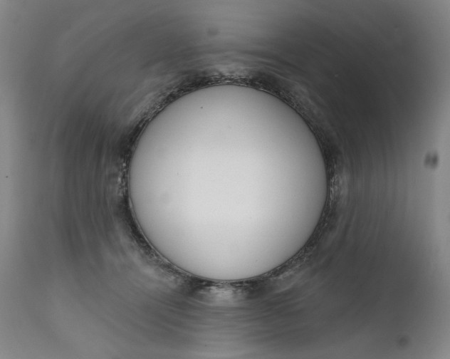 X0000111180464200907151329